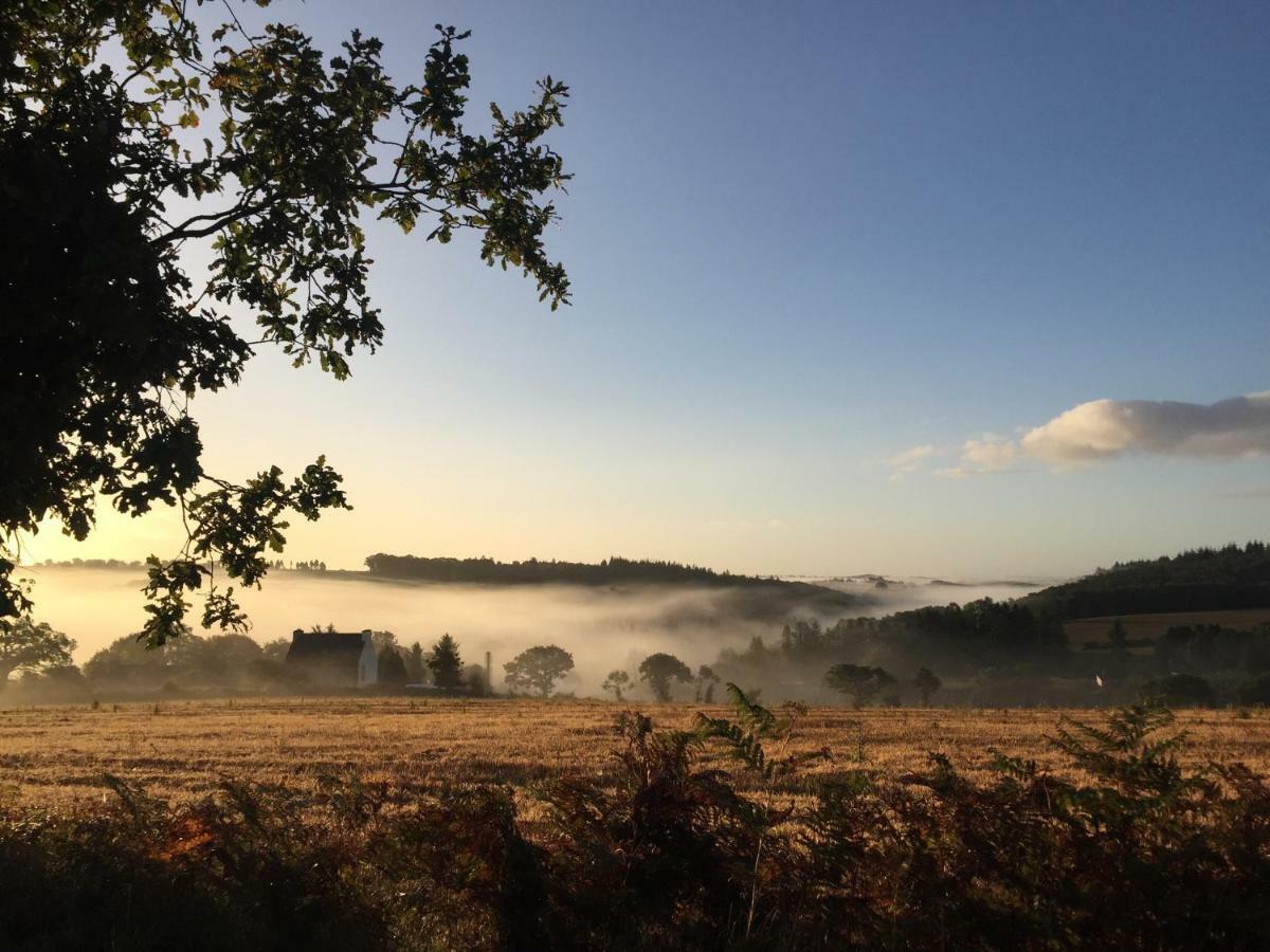 La Colline Des Renards Chambres Locmaria-Berrien Esterno foto