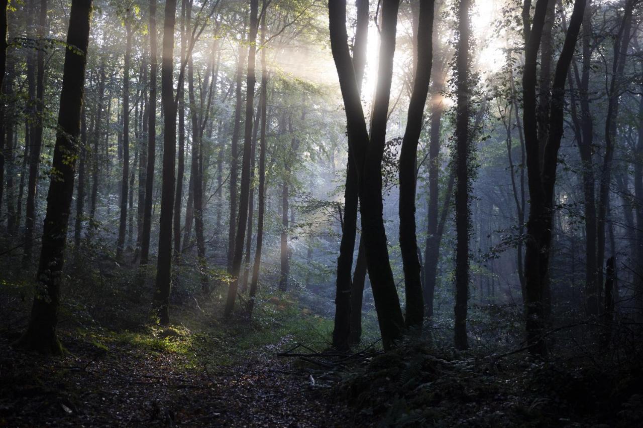 La Colline Des Renards Chambres Locmaria-Berrien Esterno foto