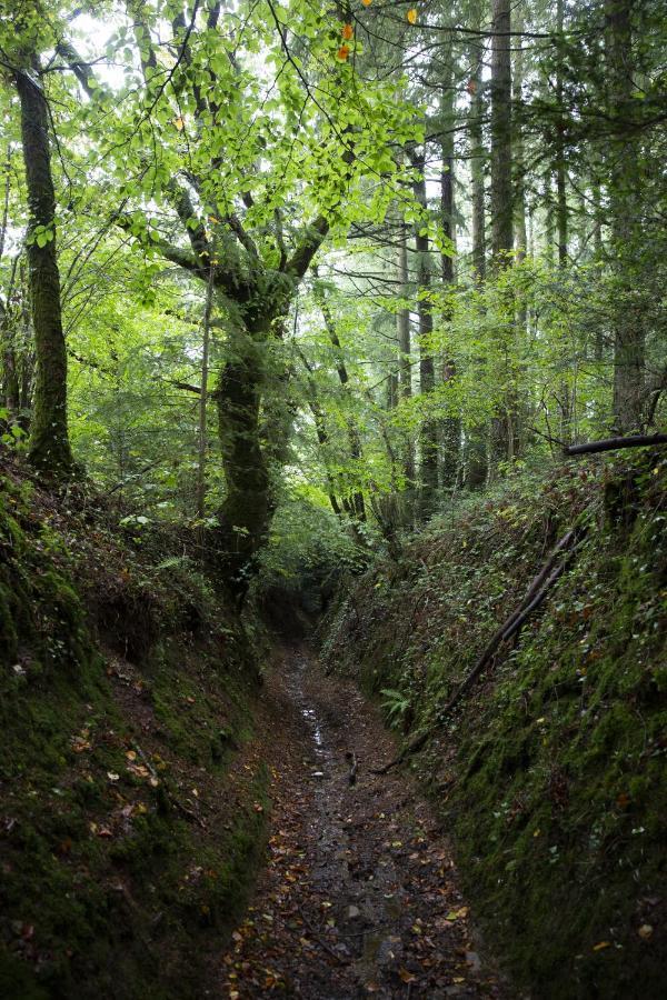 La Colline Des Renards Chambres Locmaria-Berrien Esterno foto