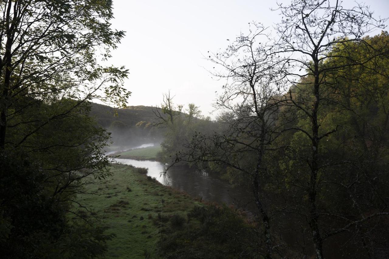 La Colline Des Renards Chambres Locmaria-Berrien Esterno foto